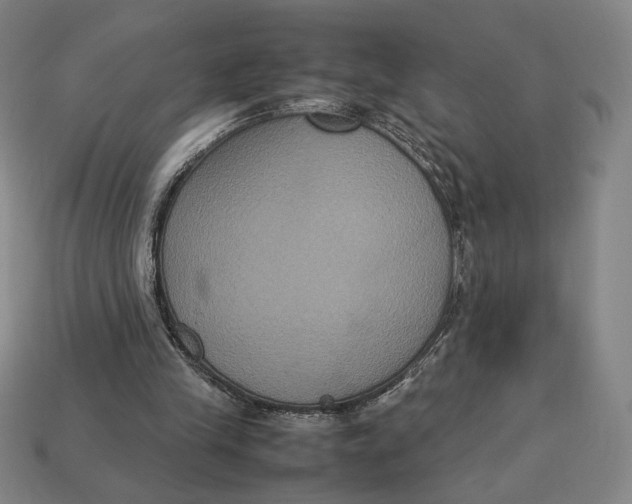 X0000113110245200909181634