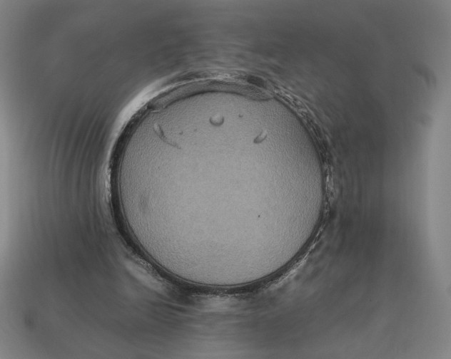 X0000113110246200909181634