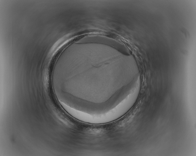 X0000113110247200909181634