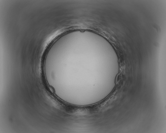 X0000113110248200909181634