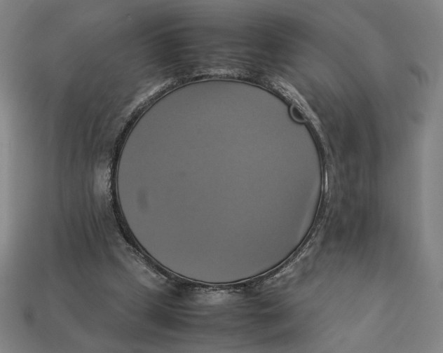 X0000113110249200909181634