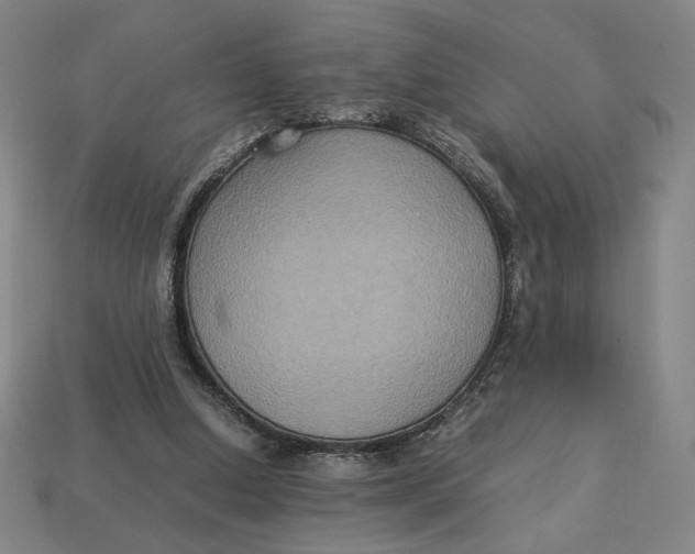 X0000113110250200909181634
