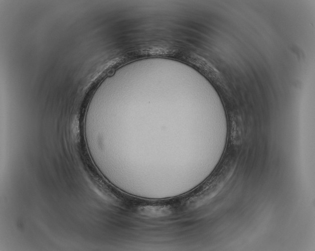X0000113110251200909181634