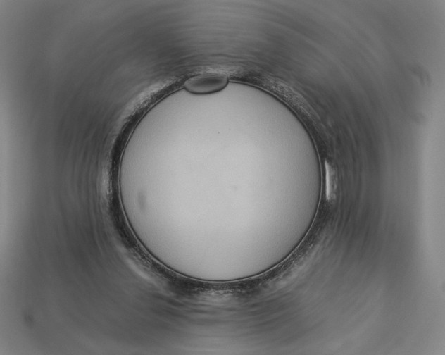 X0000113110252200909181634