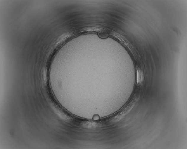 X0000113110253200909181634