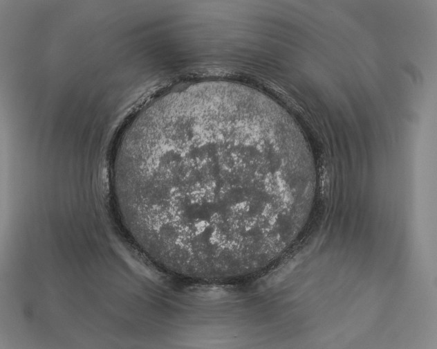 X0000113110254200909181634