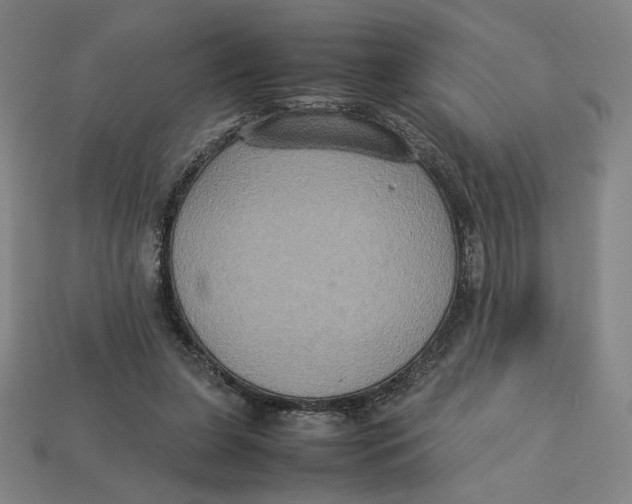 X0000113110255200909181634