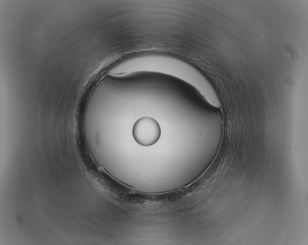X0000113110256200909181634