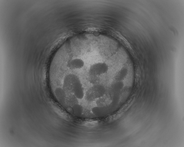 X0000113110257200909181634