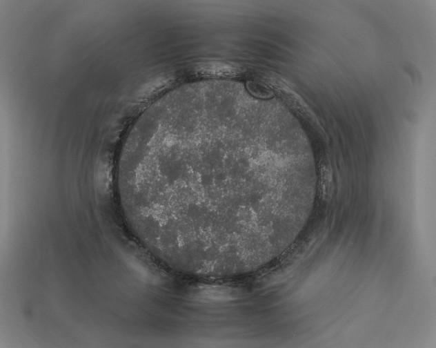 X0000113110259200909181634