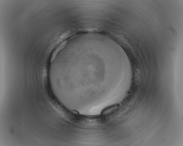 X0000113110260200909181634