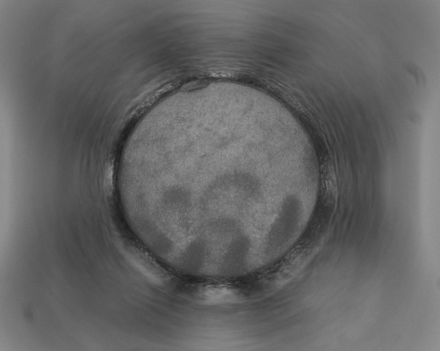 X0000113110262200909181634