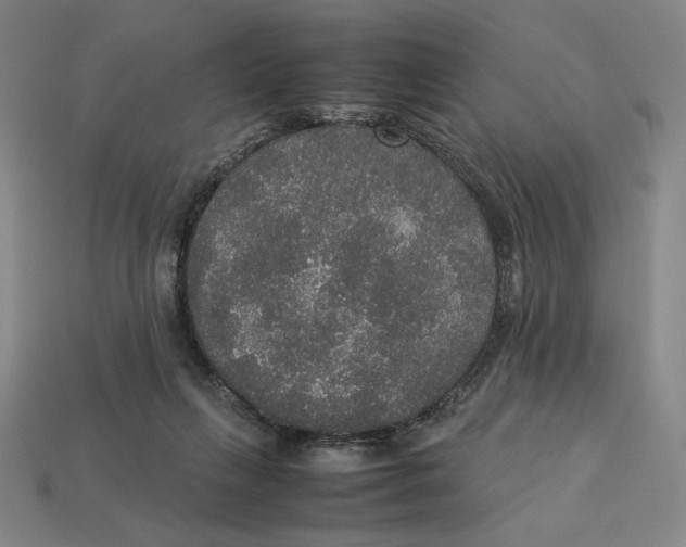X0000113110263200909181634