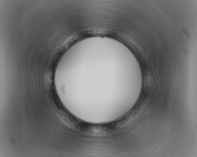 X0000113110264200909181634