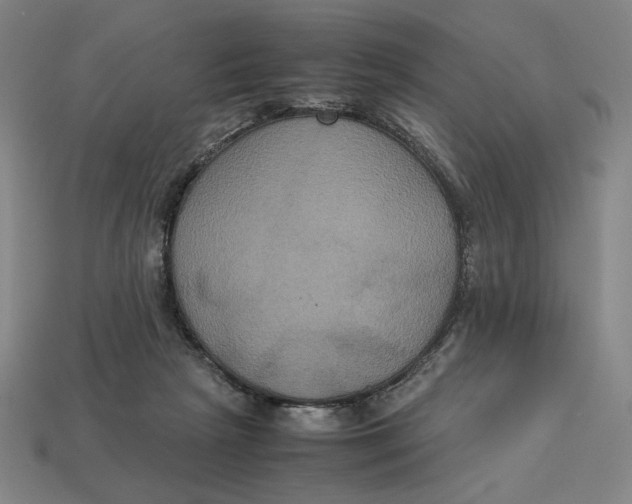X0000113110265200909181634