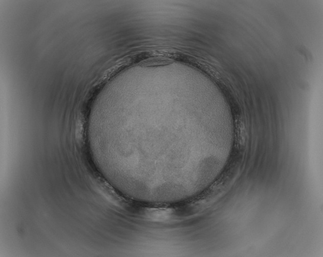 X0000113110266200909181634