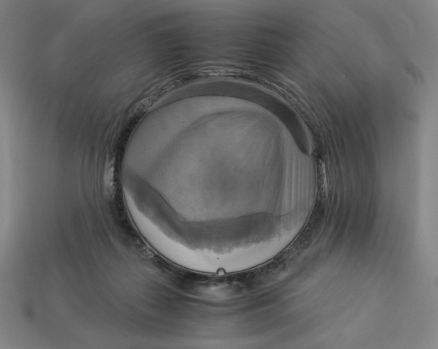 X0000113110267200909181634