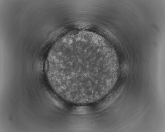 X0000113110268200909181634