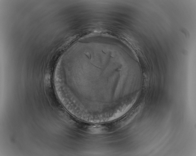 X0000113110269200909181634
