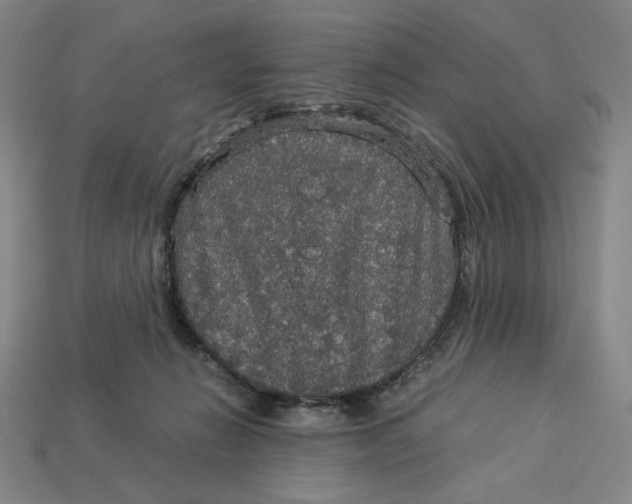 X0000113110270200909181634