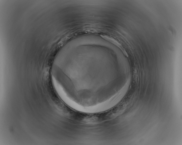 X0000113110271200909181634