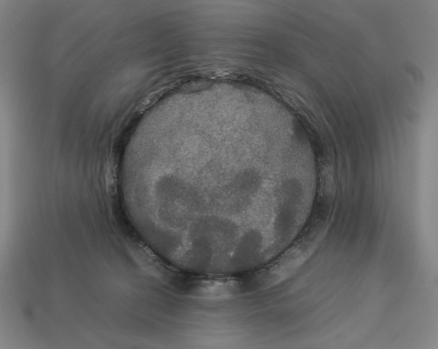X0000113110274200909181634