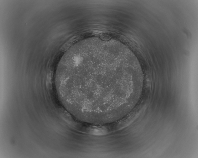 X0000113110275200909181634