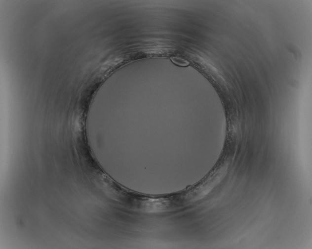 X0000113110277200909181634
