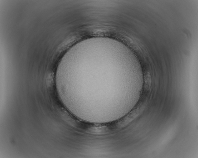 X0000113110278200909181634