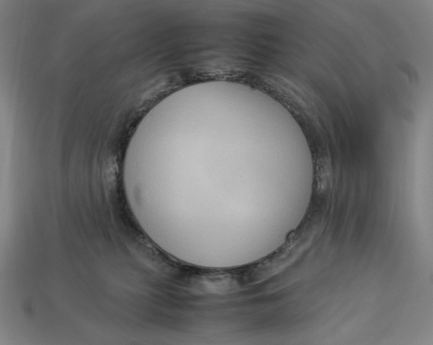 X0000113110279200909181634