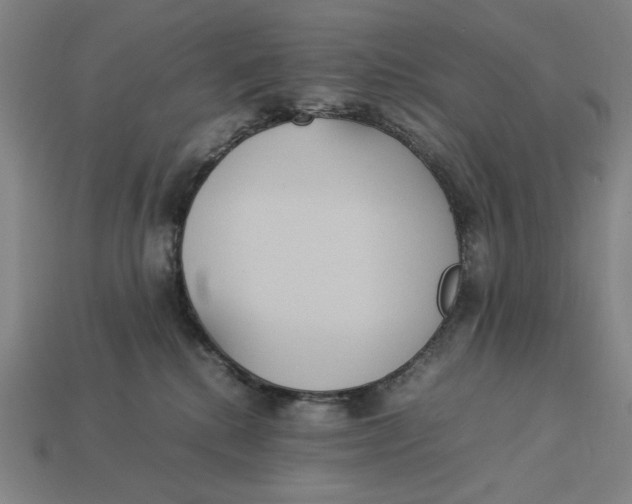 X0000113110280200909181634
