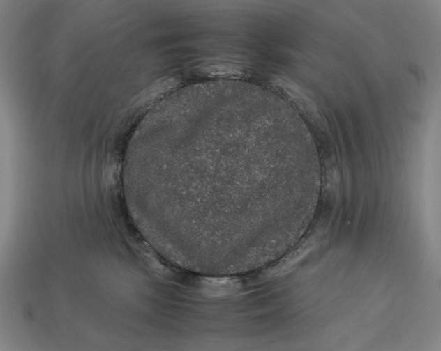 X0000113110281200909181635