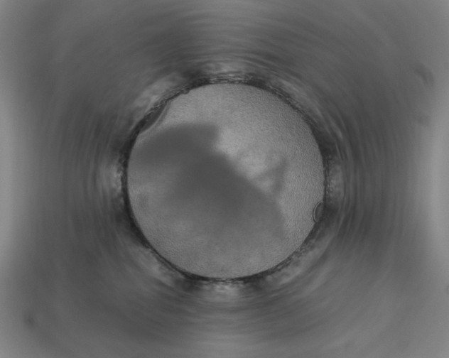 X0000113110282200909181635