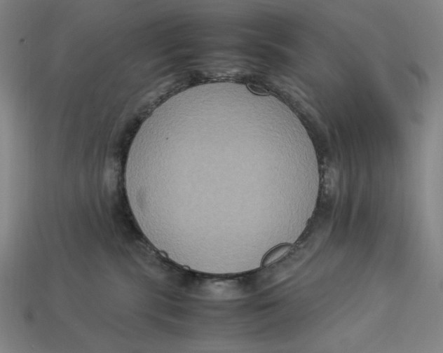 X0000113110283200909181635