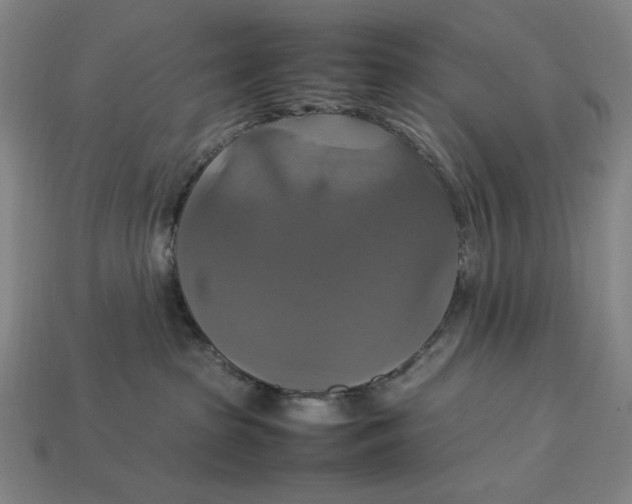 X0000113110285200909181635