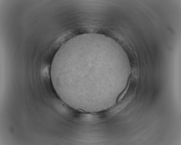 X0000113110286200909181635