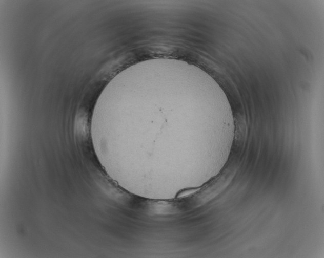 X0000113110287200909181635