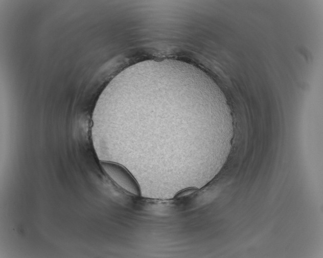 X0000113110288200909181635