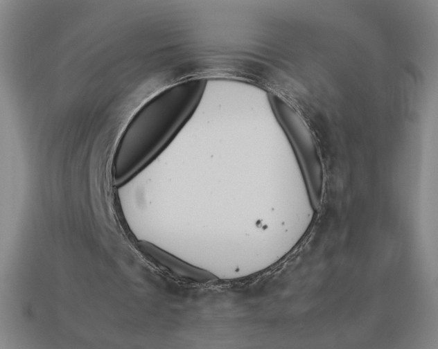 X0000113110289200909181634
