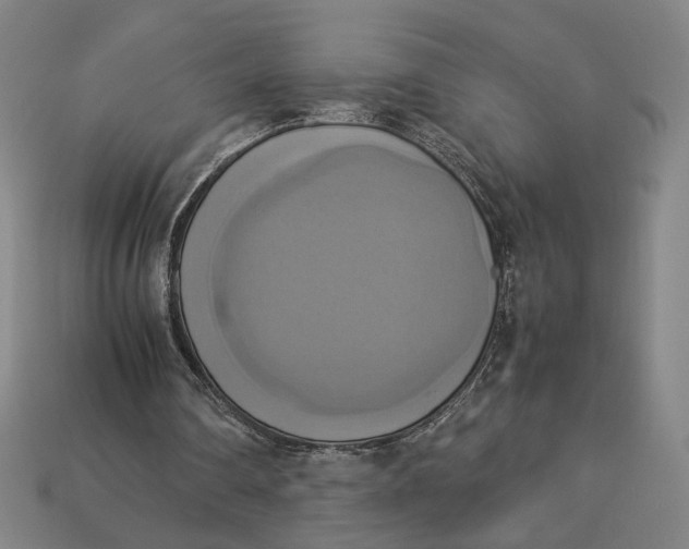 X0000113110290200909181634