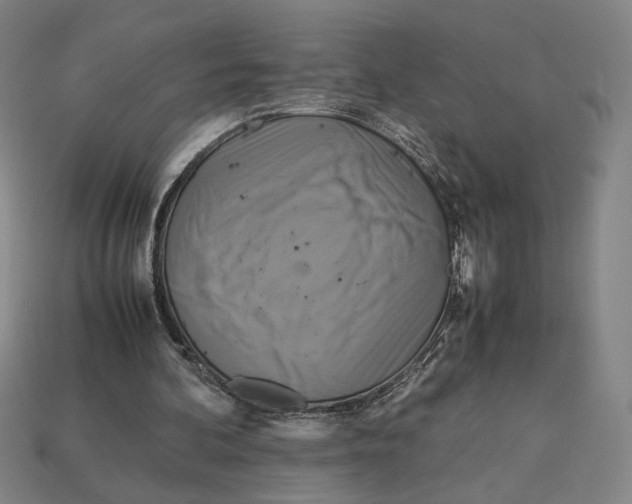 X0000113110292200909181634