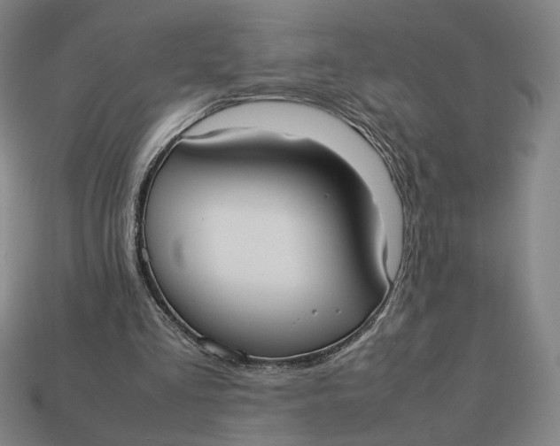 X0000113110293200909181634