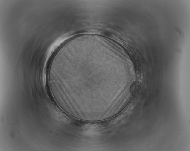 X0000113110294200909181634