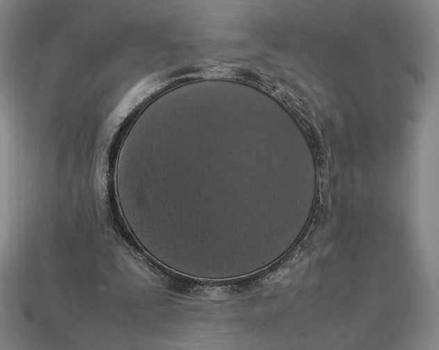 X0000113110295200909181634