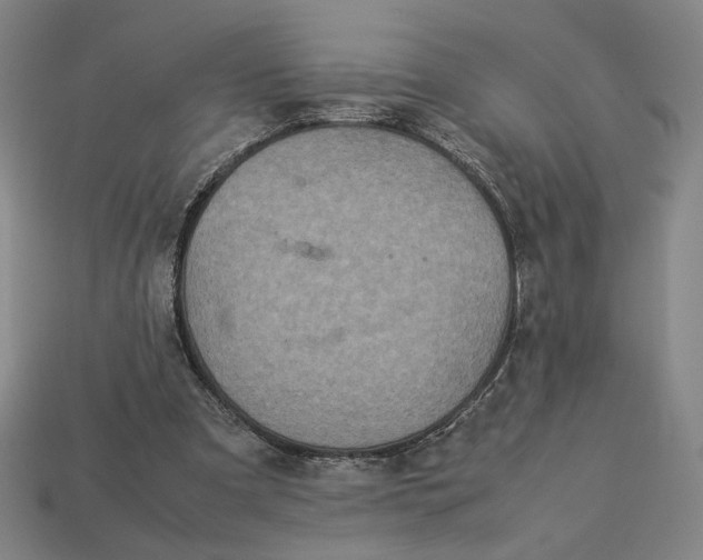X0000113110297200909181634