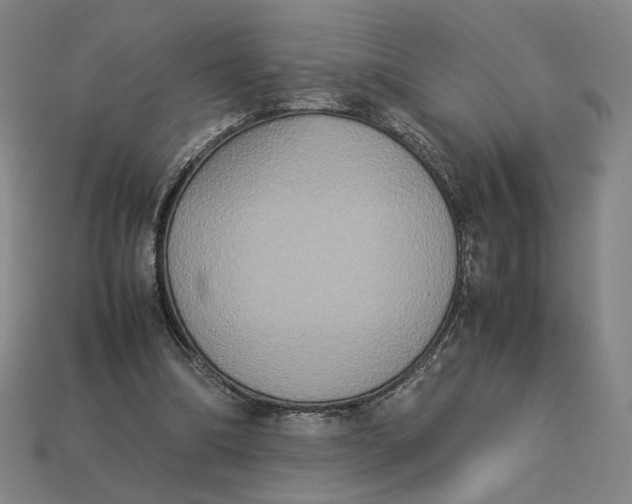 X0000113110298200909181634