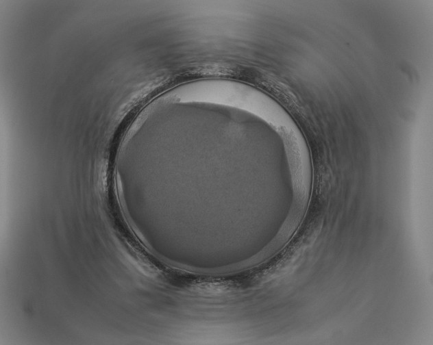 X0000113110299200909181634