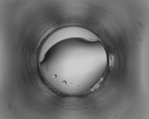 X0000113110300200909181634