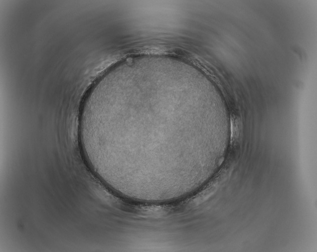 X0000113110301200909181634
