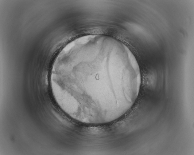 X0000113110302200909181634